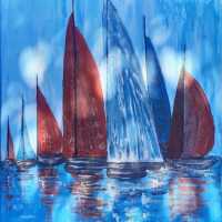 Danie Olivier - 14