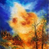 Forêt 