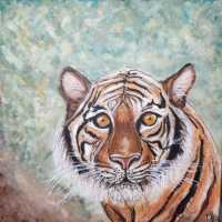 Tigre