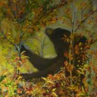 Catherine VICARIO 02
