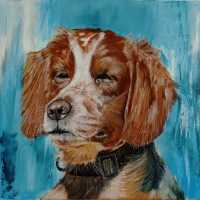 Chien