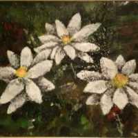 marguerites.jpg