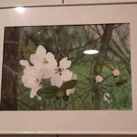 2025-11-22 expo 947.jpg